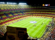 Scout焦点对战，字母哥与50激战公牛分钟，持续失利胜负难料！赢得满堂喝彩